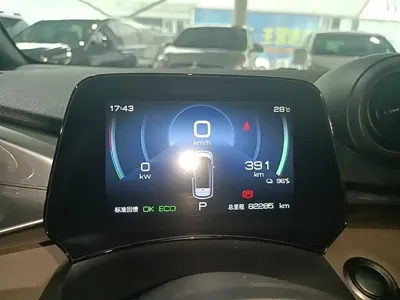 BYD Dolphin