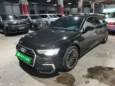 Audi A6L New Energy