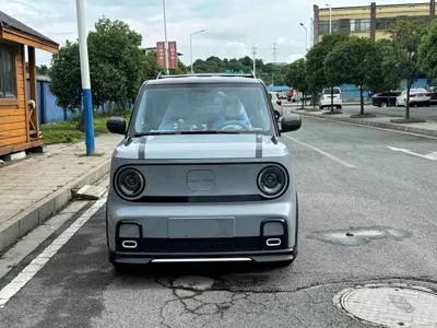 Galaxy Panda
