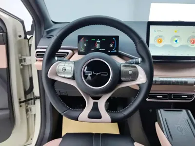 BYD Seagull