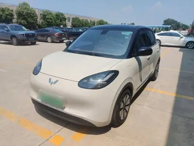 Wuling Bingo