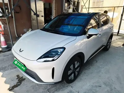 Wuling 缤果S