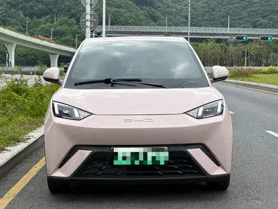 BYD Seagull