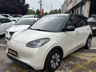 Wuling Bingo