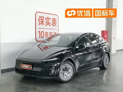 Tesla Model Y L