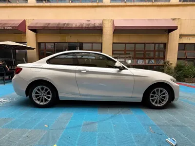 BMW 2 Series (Import)