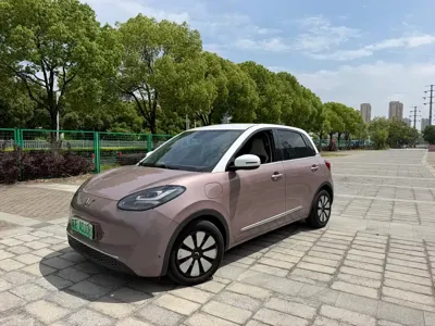 Wuling Bingo