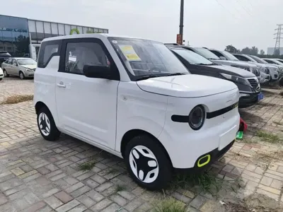 Galaxy Panda