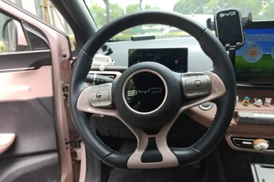 BYD Seagull