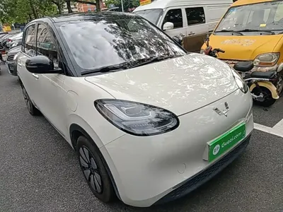 Wuling Bingo