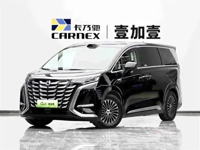 Denza Denza D9
