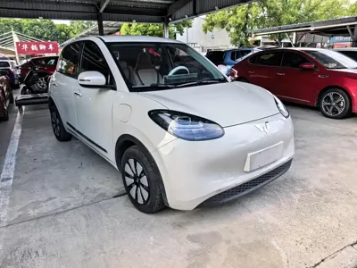 Wuling Bingo