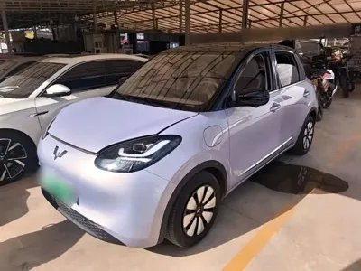 Wuling Bingo