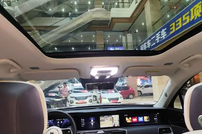Hongqi E-HS9