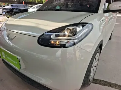 Wuling Bingo