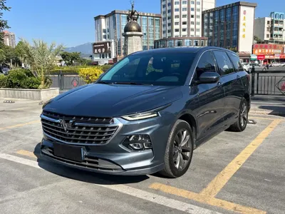 Wuling Victory