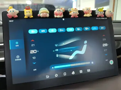 BYD Pro New Energy