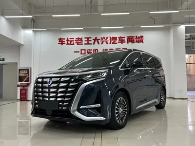 Denza Denza D9