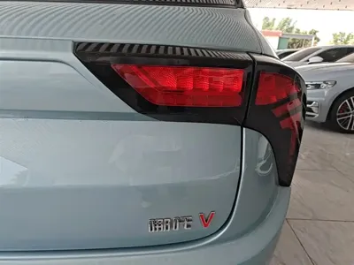 NETA Neta V