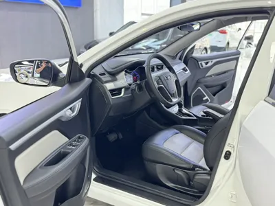 Geely Auto Vision