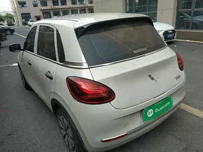 Wuling Bingo