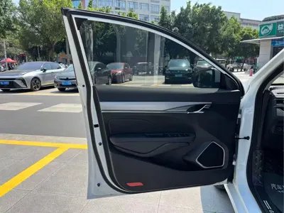 Geely Binrui