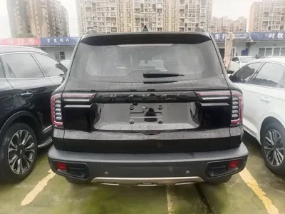 Haval Big Dog
