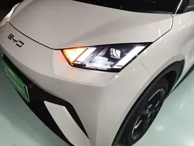 BYD Seagull