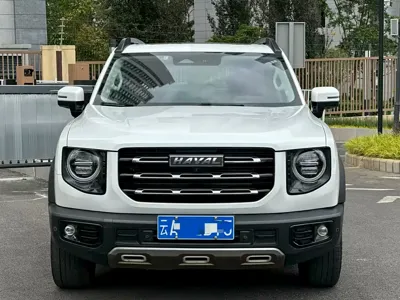 Haval Big Dog
