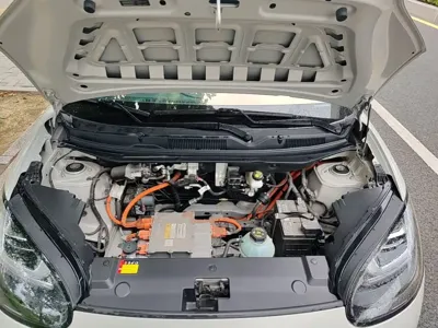 Wuling Bingo
