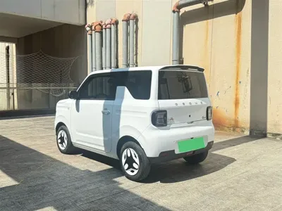 Galaxy Panda