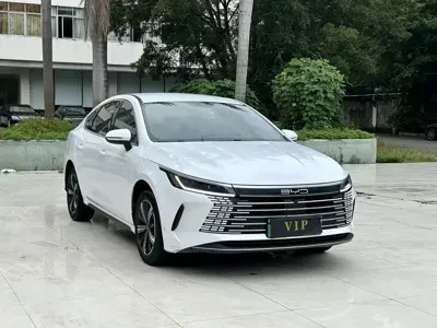 BYD Destroyer 05