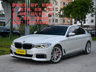 BMW 5 Series (Import)