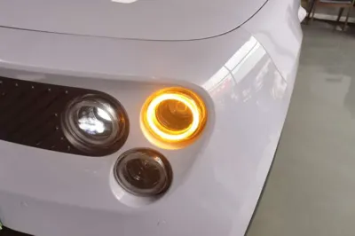 firefly firefly