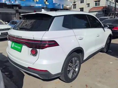 BYD Pro