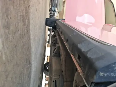 NETA Neta V