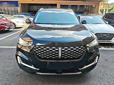 WEY Wey VV6
