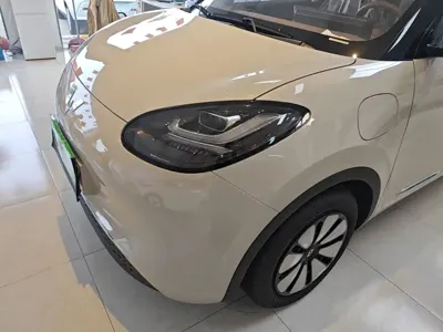 Wuling Bingo