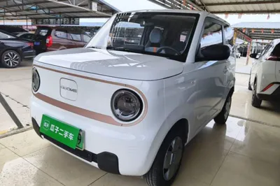 Geely Galaxy Panda