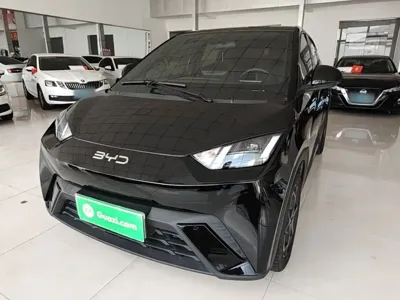 BYD Seagull