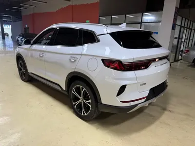 BYD PLUS
