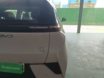 BYD Seagull