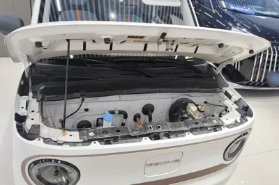 Geely Galaxy Panda