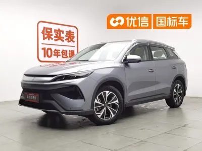 BYD Pro New Energy