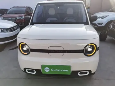 Galaxy Panda