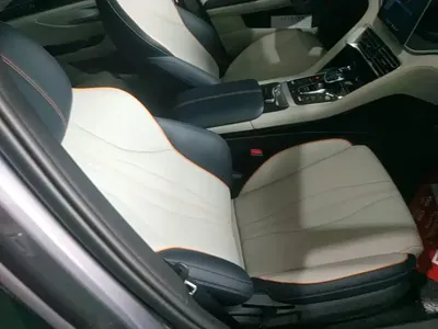 BYD PLUS New Energy