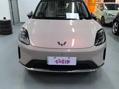 Wuling 缤果S