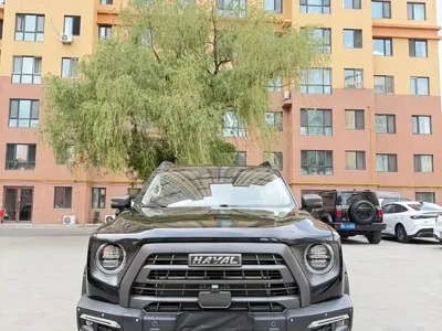 Haval Big Dog