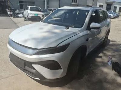 BYD Pro New Energy