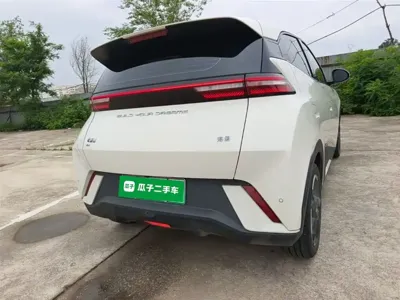BYD Seagull